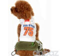 Allstar