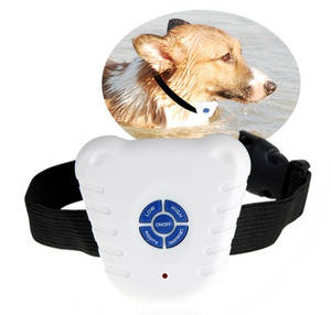 Antiskällhalsband för hund