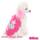 Rising Star Rosa - bild 1
