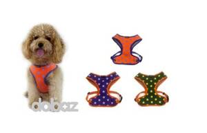 Selar och koppel - STARTS SOFT HARNESS Orange